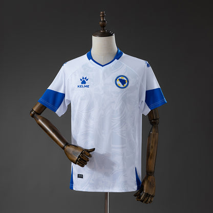 Bosnia and Herzegovina 2026 away kit