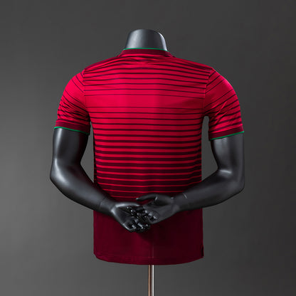 Portugal 2014 home kit