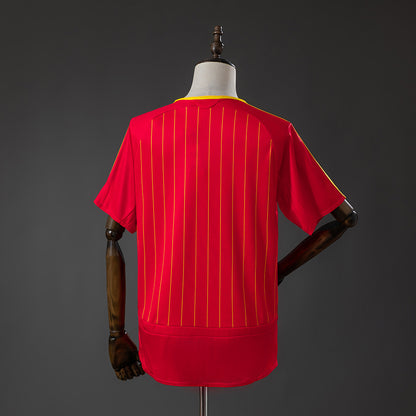 Spain 2006 home kit