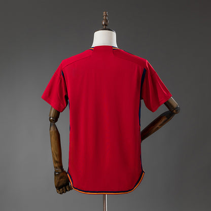 Spain 2022 home kit