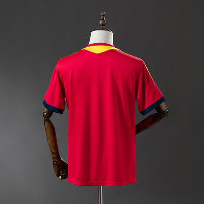 Spain 2013 home kit