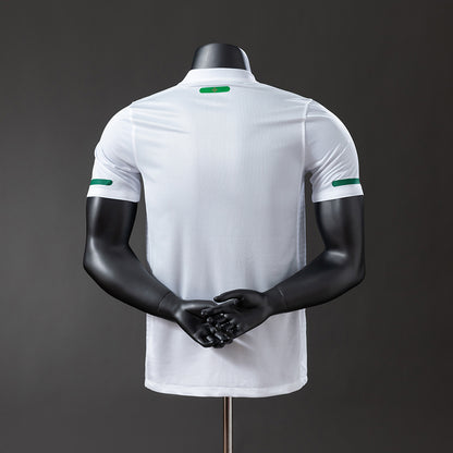 Portugal 2010 away kit